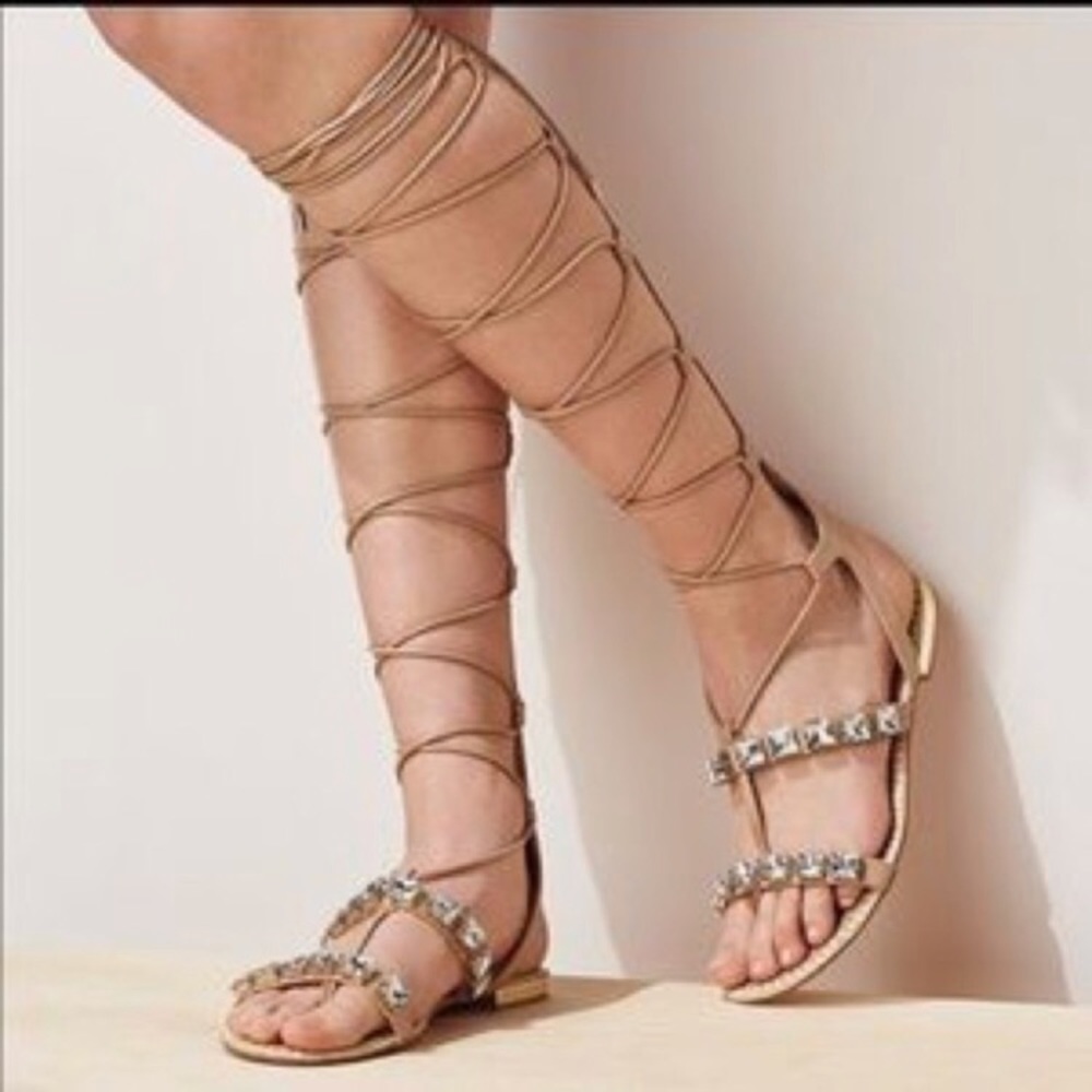 Aldo Maricel gladiators